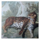 Studie über einen Leopard (von Jean-Baptiste Oudry Fliese (Vorderseite)