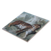 Studie über einen Leopard (von Jean-Baptiste Oudry Fliese (Seite)