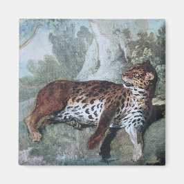 Studie über einen Leopard (von Jean-Baptiste Oudry Magnet