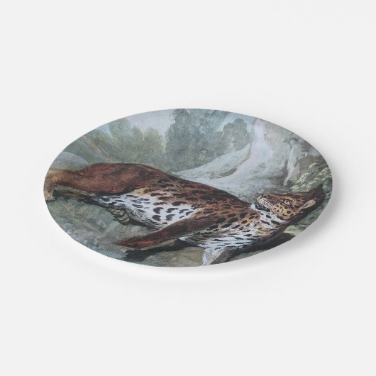 Studie über einen Leopard (von Jean-Baptiste Oudry Pappteller (Schrägansicht)