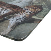 Studie über einen Leopard (von Jean-Baptiste Oudry Schneidebrett (Ecke)