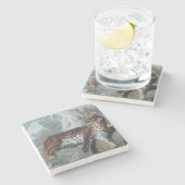 Studie über einen Leopard (von Jean-Baptiste Oudry Steinuntersetzer (Seitenansicht)