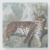 Studie über einen Leopard (von Jean-Baptiste Oudry Steinuntersetzer (Vorderseite)