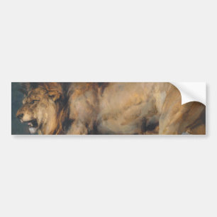 Studie über einen Löwen (von Edwin Henry Landseer) Autoaufkleber
