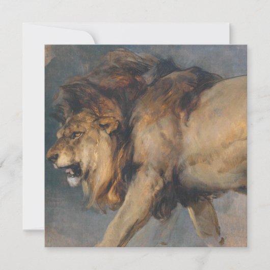 Studie über einen Löwen (von Edwin Henry Landseer) Karte (Vorderseite)