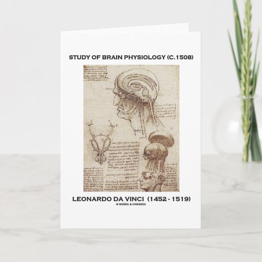 Studie über Gehirnphysiologie (Leonardo da Vinci 1 Karte (Vorderseite)
