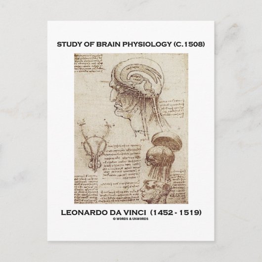 Studie über Gehirnphysiologie (Leonardo da Vinci 1 Postkarte (Vorderseite)