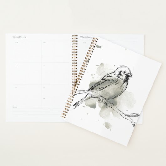 Studie über Gesturonale Vögel Planer (Anzeige)