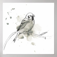 Studie über Gesturonale Vögel