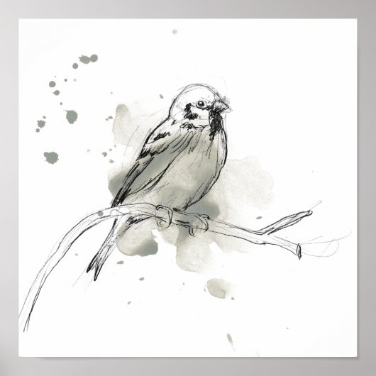 Studie über Gesturonale Vögel Poster (Vorne)