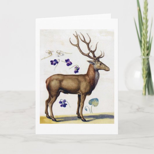 Studie über Hirsch und Blume, Arcimboldo Karte (Vorderseite)