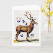 Studie über Hirsch und Blume, Arcimboldo Karte (Gelbe Blume)