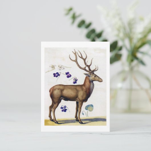 Studie über Hirsch und Blume, Arcimboldo Postkarte (Stehend Vorderseite)