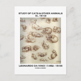 Studie über Katzen und andere Tiere (Leonardo da V Postkarte