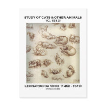 Studie über Katzen und andere Tiere (Leonardo da V