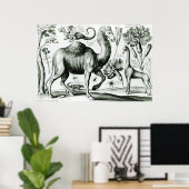 Studie über Tiere und Blume, in Gravur Poster (Heimbüro)