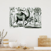 Studie über Tiere und Blume, in Gravur Poster (Küche)