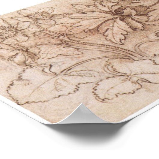 Studie über zwei Pflanze, Leonardo Da Vinci Poster (Ecke)