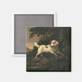 Studie von Clumber Spaniel Magnet (Vorderseite/Rückseite)
