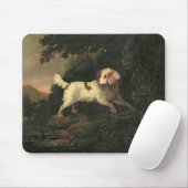 Studie von Clumber Spaniel Mousepad (Mit Mouse)
