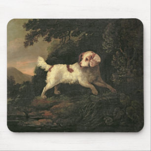 Studie von Clumber Spaniel Mousepad