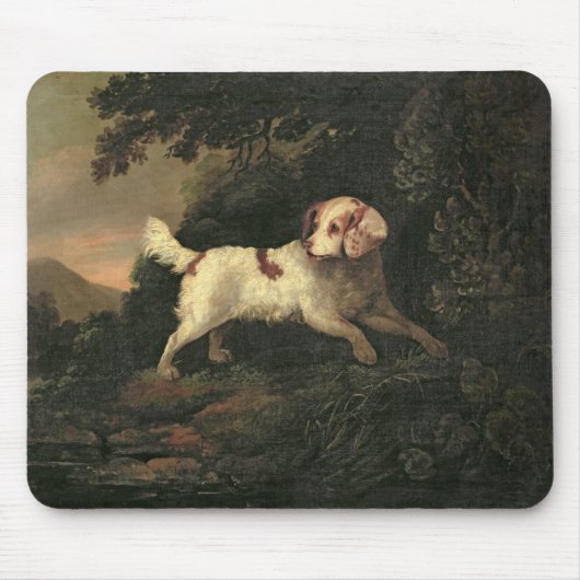 Studie von Clumber Spaniel Mousepad (Vorne)
