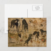Studie von Hunden, 1616 Postkarte (Vorne/Hinten)