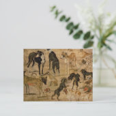 Studie von Hunden, 1616 Postkarte (Stehend Vorderseite)