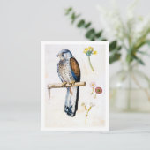 Studie von Kestrel und Blume, Arcimboldo Postkarte (Stehend Vorderseite)