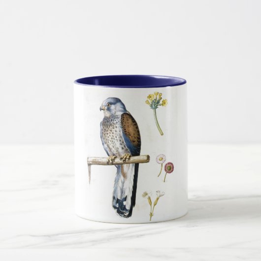 Studie von Kestrel und Blume, Arcimboldo Tasse (Zentrum)