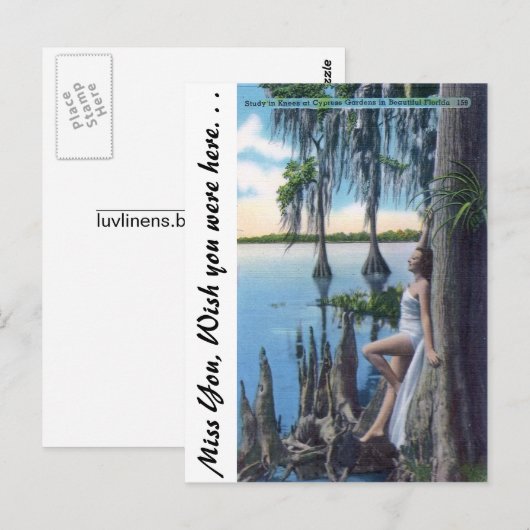 Studie von Knees Postkarte (Vorne/Hinten)