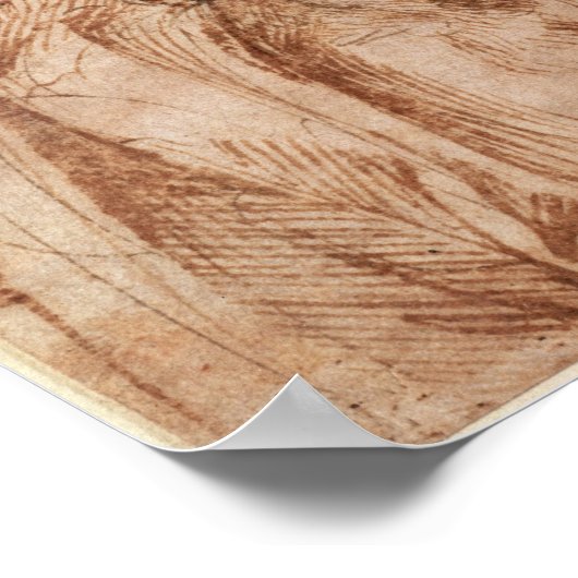 Studie zu Kopf und Schultern Poster (Ecke)