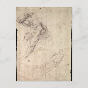 Studie zur männlichen Figur Postkarte
