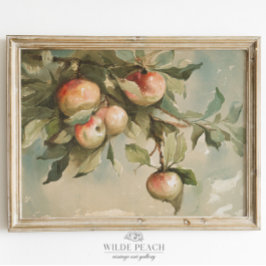 Studie zur Vintagen Aquarellmalerei bei Äpfeln Poster