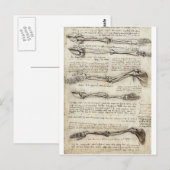 Studien am Arm Postkarte (Vorne/Hinten)