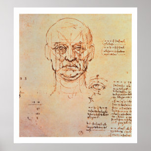 Studien der Anteile dem Gesicht und dem Auge, 14 Poster