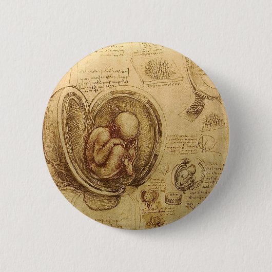 Studien der Embryos Button (Vorderseite)