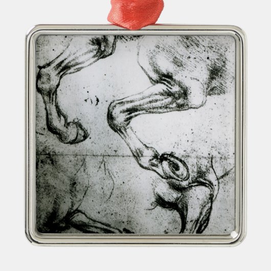 Studien der Pferdebeine Silbernes Ornament (Vorne)
