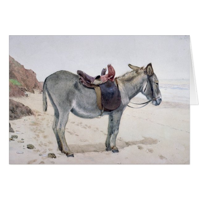 Studien der Tiere (Vorderseite (Horizontal))