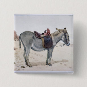 Studien der Tiere Button