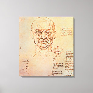 Studien über den Anteil von Gesicht und Auge, 14 Leinwanddruck