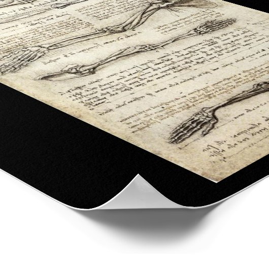 Studien über den Arm von Leonardo Da Vinci c. 1510 Poster (Ecke)