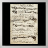 Studien über den Arm von Leonardo Da Vinci c. 1510 Poster (Vorne)