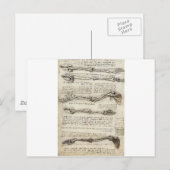 Studien über den Arm von Leonardo Da Vinci c. 1510 Postkarte (Vorne/Hinten)