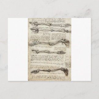 Studien über den Arm von Leonardo Da Vinci c. 1510 Postkarte