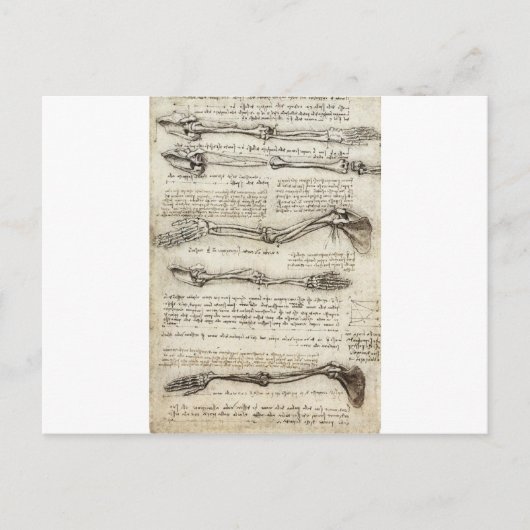 Studien über den Arm von Leonardo Da Vinci c. 1510 Postkarte (Vorderseite)