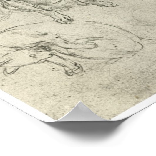 Studien über Hunde und Katzen, Leonardo Da Vinci Poster (Ecke)