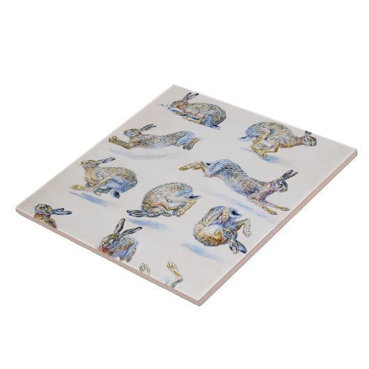 Studien von Wild Hare (Rabbit), Bruno Liljefors Fliese (Seite)