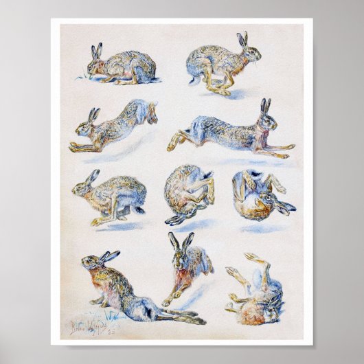 Studien von Wild Hare (Rabbit), Bruno Liljefors Poster (Vorne)