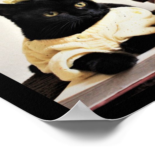 Studienzeit Poster (Ecke)